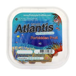 Atlantis-Beutel-15-Gramm-kaufen