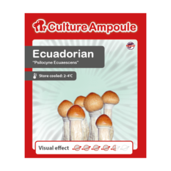 Kultúra_Ampoule_Ecuadori készlet-vásárlás