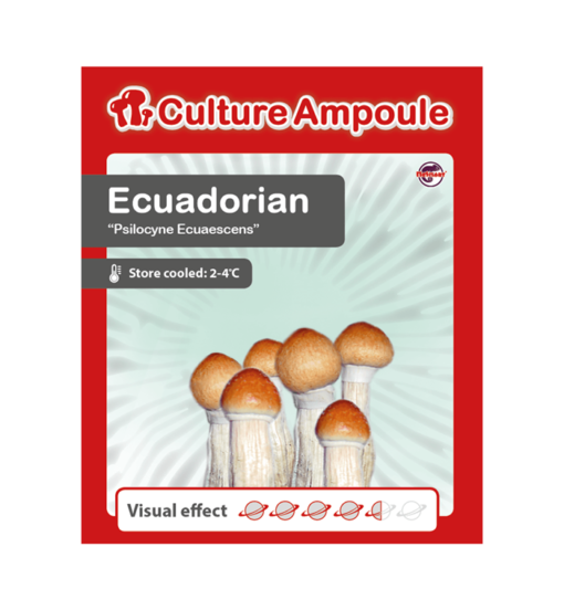 Kultúra_Ampoule_Ecuadori készlet-vásárlás