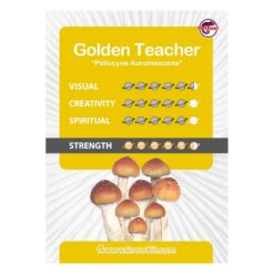 Golden-Teacher-kultur-ampul-sett-kjøp