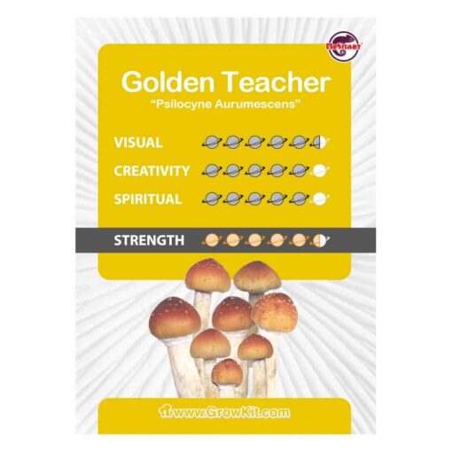 Golden-Teacher-culture-ampooule-set-comprar