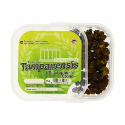 Tampanensis-Pouch-15-grame-buy