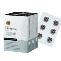 Microdosage-Psilocybine-Truffes-1-Pack