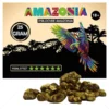 Psilocybe-Amazonia-Trufflar-25-grams-köp