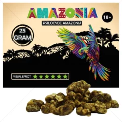 Psilocybe-Amazonia-Truffles-25-gramm-vásárlás