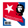 Guarnizioni-Colombiane-Connessione-Grande-Stampato-(100-pezzi)