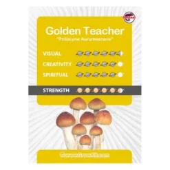 Goldene Lehrer-Sporenprint-Trüffel